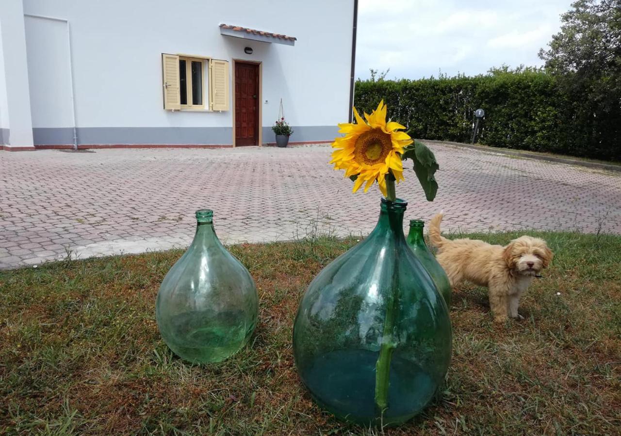 Casa Amrita, Yoga B&B Терамо Екстериор снимка