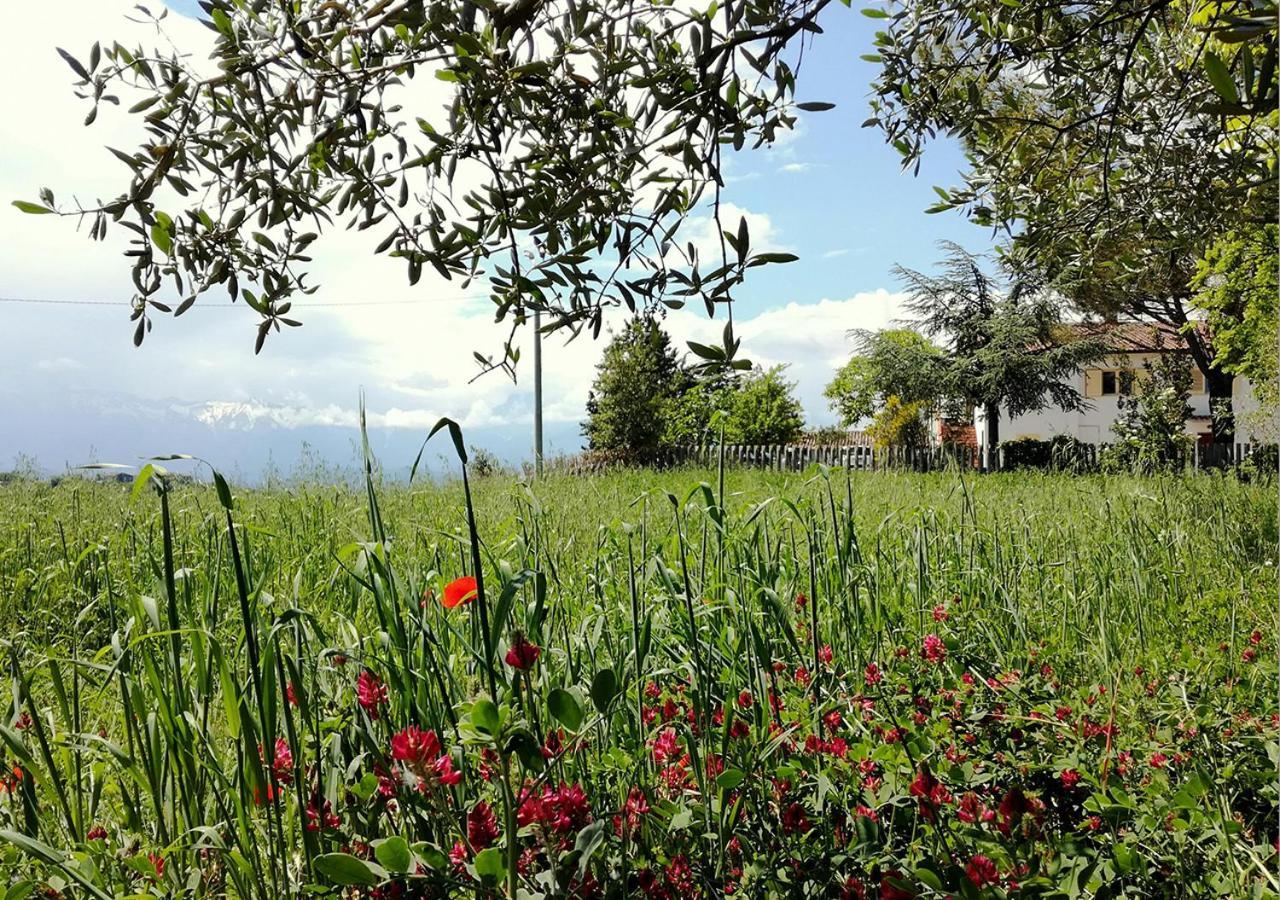 Casa Amrita, Yoga B&B Терамо Екстериор снимка
