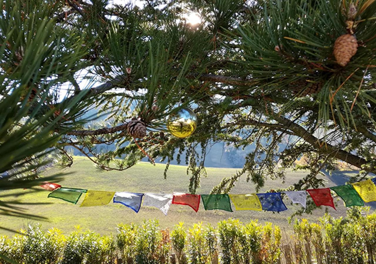 Casa Amrita, Yoga B&B Терамо Екстериор снимка